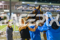 2025_PACEPIX_GP10102025_RACE9_francoSheriff_WIN_WEB-28