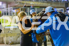 2025_PACEPIX_GP10102025_RACE9_francoSheriff_WIN_WEB-29