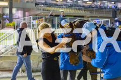 2025_PACEPIX_GP10102025_RACE9_francoSheriff_WIN_WEB-30
