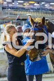 2025_PACEPIX_GP10102025_RACE9_francoSheriff_WIN_WEB-32