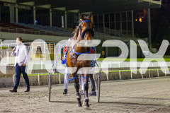 2025_PACEPIX_GP10102025_RACE9_francoSheriff_WIN_WEB-36