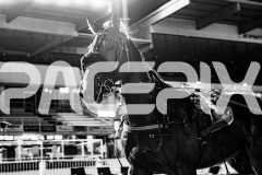 2025_PACEPIX_GP10102025_RACE9_francoSheriff_WIN_WEB-40