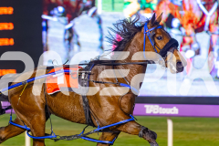 2025_PACEPIX_GP10102025_RACE9_francoSheriff_WIN_WEB-5