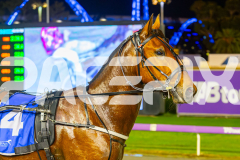 2025_PACEPIX_GP05092025_RACE9_GentlemansPromise_WIN_WEB-10