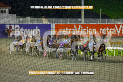 2026_Pacepix_GP21082026_Race9_GetNWiggyWithit_WIN_WEB-1