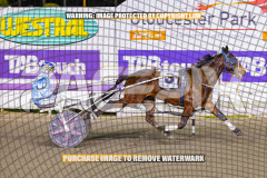 2026_Pacepix_GP21082026_Race9_GetNWiggyWithit_WIN_WEB-13