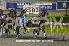 2026_Pacepix_GP21082026_Race9_GetNWiggyWithit_WIN_WEB-2