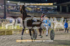 2026_Pacepix_GP21082026_Race9_GetNWiggyWithit_WIN_WEB-28