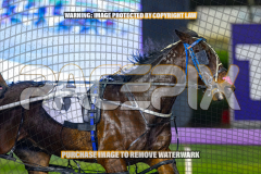 2026_Pacepix_GP21082026_Race9_GetNWiggyWithit_WIN_WEB-5