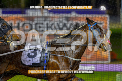 2026_Pacepix_GP21082026_Race9_GetNWiggyWithit_WIN_WEB-6
