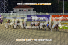2026_Pacepix_GP21082026_Race9_GetNWiggyWithit_WIN_WEB-7