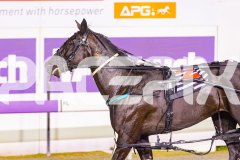 2025_PACEPIX_GP19092025_Race9_GrandCouteau_WIN_WEB-13
