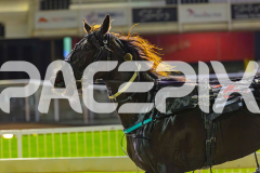 2025_PACEPIX_GP19092025_Race9_GrandCouteau_WIN_WEB-18
