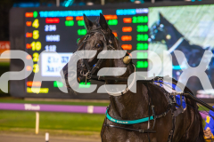 2025_PACEPIX_GP27062025_RACE9_GRAND-COUTEAU_WIN_WEB-7