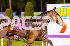 2025_Pacepix_GP26092025_Race9_HillviewBondi_WIN_WEB-11
