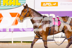 2025_Pacepix_GP26092025_Race9_HillviewBondi_WIN_WEB-12