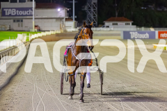 2025_Pacepix_GP26092025_Race9_HillviewBondi_WIN_WEB-13