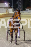 2025_Pacepix_GP26092025_Race9_HillviewBondi_WIN_WEB-14