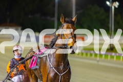 2025_Pacepix_GP26092025_Race9_HillviewBondi_WIN_WEB-15