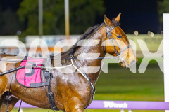 2025_Pacepix_GP26092025_Race9_HillviewBondi_WIN_WEB-19