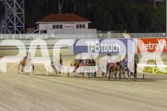 2025_Pacepix_GP26092025_Race9_HillviewBondi_WIN_WEB-2