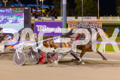 2025_Pacepix_GP26092025_Race9_HillviewBondi_WIN_WEB-6