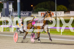 2025_Pacepix_GP26092025_Race9_HillviewBondi_WIN_WEB-9