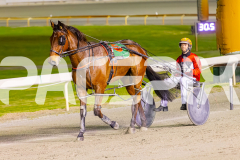 2024_PACEPIX_GP23012024_Race1_TheWildcard_WEB-10
