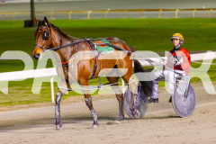2024_PACEPIX_GP23012024_Race1_TheWildcard_WEB-11