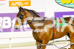 2024_PACEPIX_GP23012024_Race1_TheWildcard_WEB-12