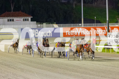 2024_PACEPIX_GP23012024_Race1_TheWildcard_WEB-2