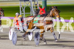 2024_PACEPIX_GP23012024_Race1_TheWildcard_WEB-4