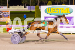 2024_PACEPIX_GP23012024_Race1_TheWildcard_WEB-7