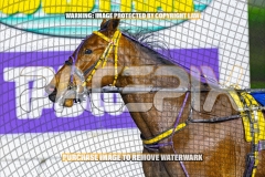 2026_PACEPIX_GP18092026_RACE9_IdealWhisper_WIN_WEB-13