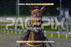 2026_PACEPIX_GP18092026_RACE9_IdealWhisper_WIN_WEB-15