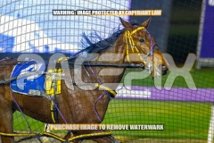2026_PACEPIX_GP18092026_RACE9_IdealWhisper_WIN_WEB-4
