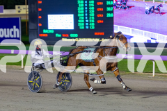 2026_PACEPIX_GP19062026_Race9_IllawongMustang_WIN_WEB-11