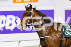 2026_PACEPIX_GP19062026_Race9_IllawongMustang_WIN_WEB-16