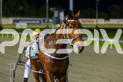2026_PACEPIX_GP19062026_Race9_IllawongMustang_WIN_WEB-17