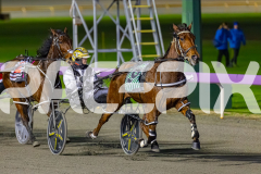 2026_PACEPIX_GP19062026_Race9_IllawongMustang_WIN_WEB-2