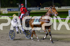 2026_PACEPIX_GP19062026_Race9_IllawongMustang_WIN_WEB-20