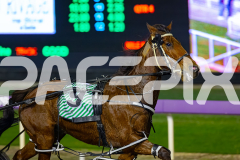 2026_PACEPIX_GP19062026_Race9_IllawongMustang_WIN_WEB-3
