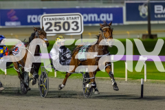 2026_PACEPIX_GP19062026_Race9_IllawongMustang_WIN_WEB-5