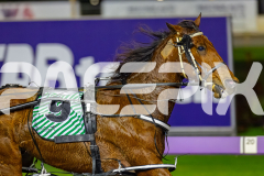 2026_PACEPIX_GP19062026_Race9_IllawongMustang_WIN_WEB-6