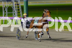 2026_PACEPIX_GP19062026_Race9_IllawongMustang_WIN_WEB-9