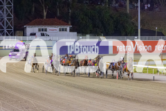 2025_PACEPIX_GP26122025_RACE9_IllawongMustang_WIN_WEB-1