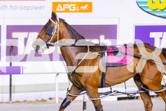 2025_PACEPIX_GP26122025_RACE9_IllawongMustang_WIN_WEB-10