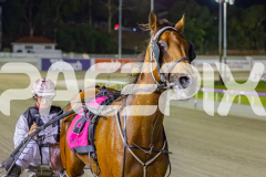 2025_PACEPIX_GP26122025_RACE9_IllawongMustang_WIN_WEB-11