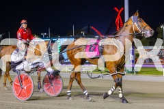 2025_PACEPIX_GP26122025_RACE9_IllawongMustang_WIN_WEB-15