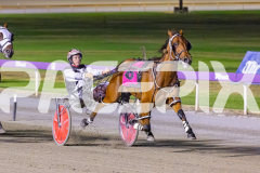 2025_PACEPIX_GP26122025_RACE9_IllawongMustang_WIN_WEB-3